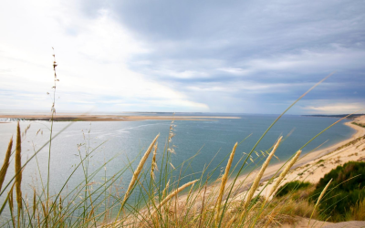 Voyage au cœur du bassin d’arcachon entre dunes et traditions