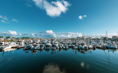 Plongée culturelle et naturelle au cœur du bassin d’Arcachon