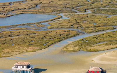 Bassin d’Arcachon attire 2,1 millions de visiteurs en 2023
