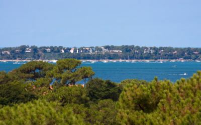 Tourisme durable et expériences authentiques au bassin d’Arcachon