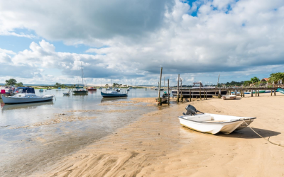 Voyage au cœur d’arcachon et de la dune pyla