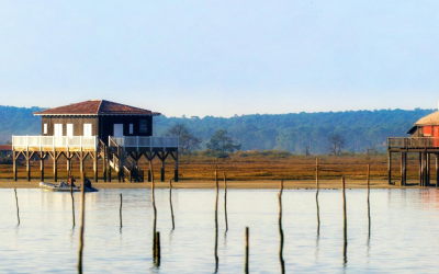 Arcachon et Pyla, un bassin en pleine effervescence