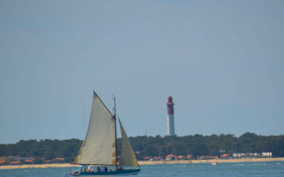 Bassin d’arcachon en vogue: traditions, nature et tourisme durable