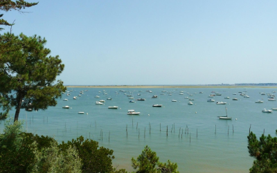 Bassin d’arcachon entre tradition ostréicole et tourisme durable effervescent