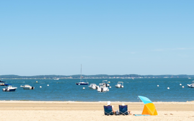 Bassin d’arcachon record : nature, culture et traditions ostréicoles