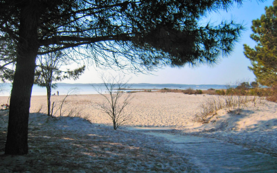 Bassin d’arcachon réinvente son avenir entre culture et écologie