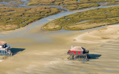 Balades entre dunes, villas et légendes du bassin d’Arcachon