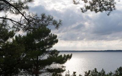 Plongée au cœur du Bassin d’Arcachon et ses légendes