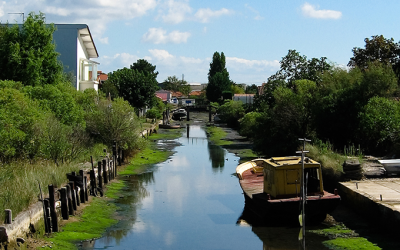 Immersion au bassin d’arcachon entre festivals, nature et innovation