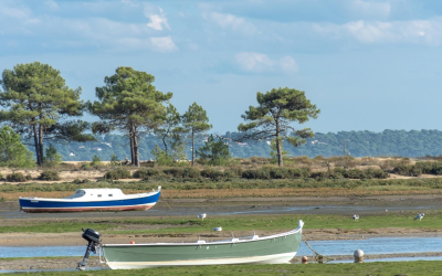 Bassin d’arcachon attire record de visiteurs et redessine son avenir