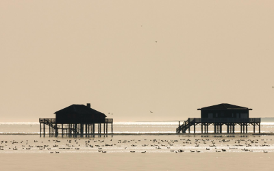 Voyage au cœur du bassin d’arcachon et son histoire