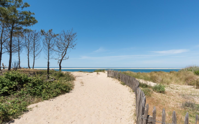Affluence record sur le bassin d’arcachon et dune du pilat