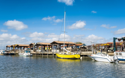 Arcachon se réinvente entre festivals, expos et initiatives durables écologiques
