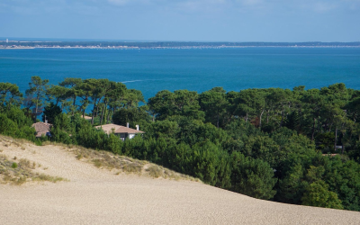 Bassin d’arcachon : culture et nature en vogue cet été