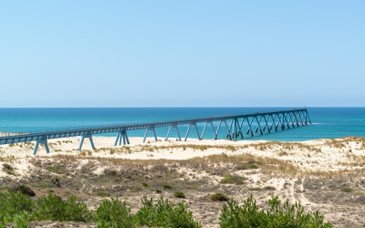 Arcachon et pyla, récits historiques du bassin d’arcachon