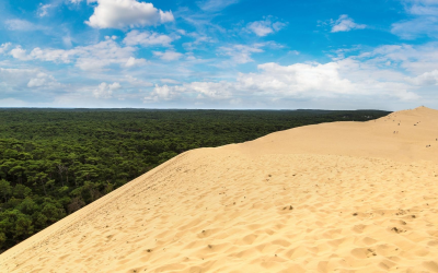 Trois millions visitent bassin d’arcachon pour sa lagune préservée authentique