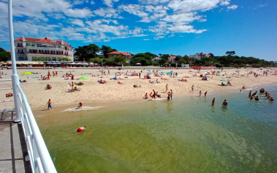 Bassin d’arcachon : nature préservée et traditions authentiques à vivre incontournable