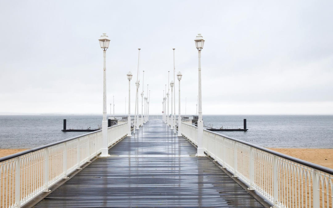 Splendeur du bassin d’arcachon entre dunes, pins maritimes et lagunes